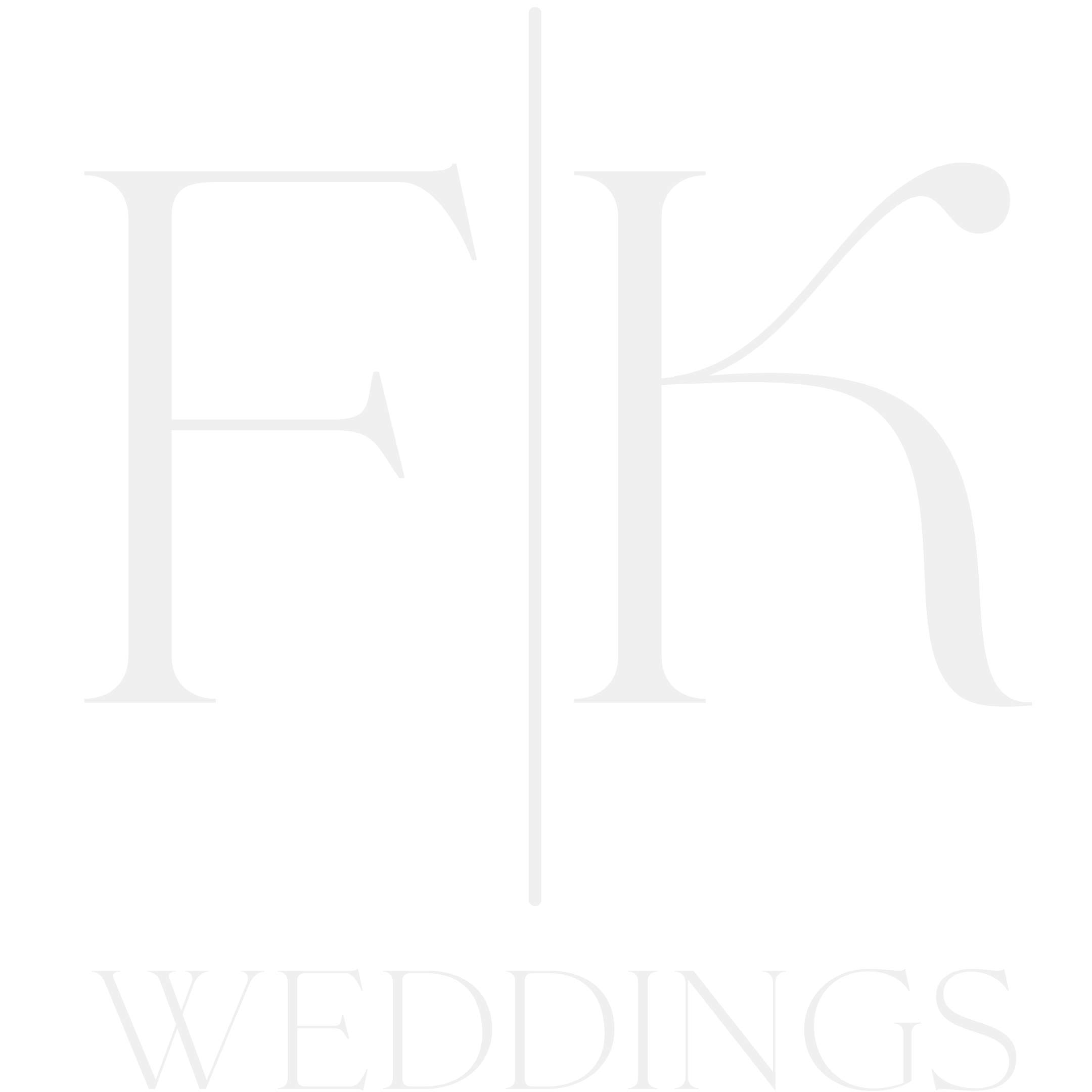 light logo